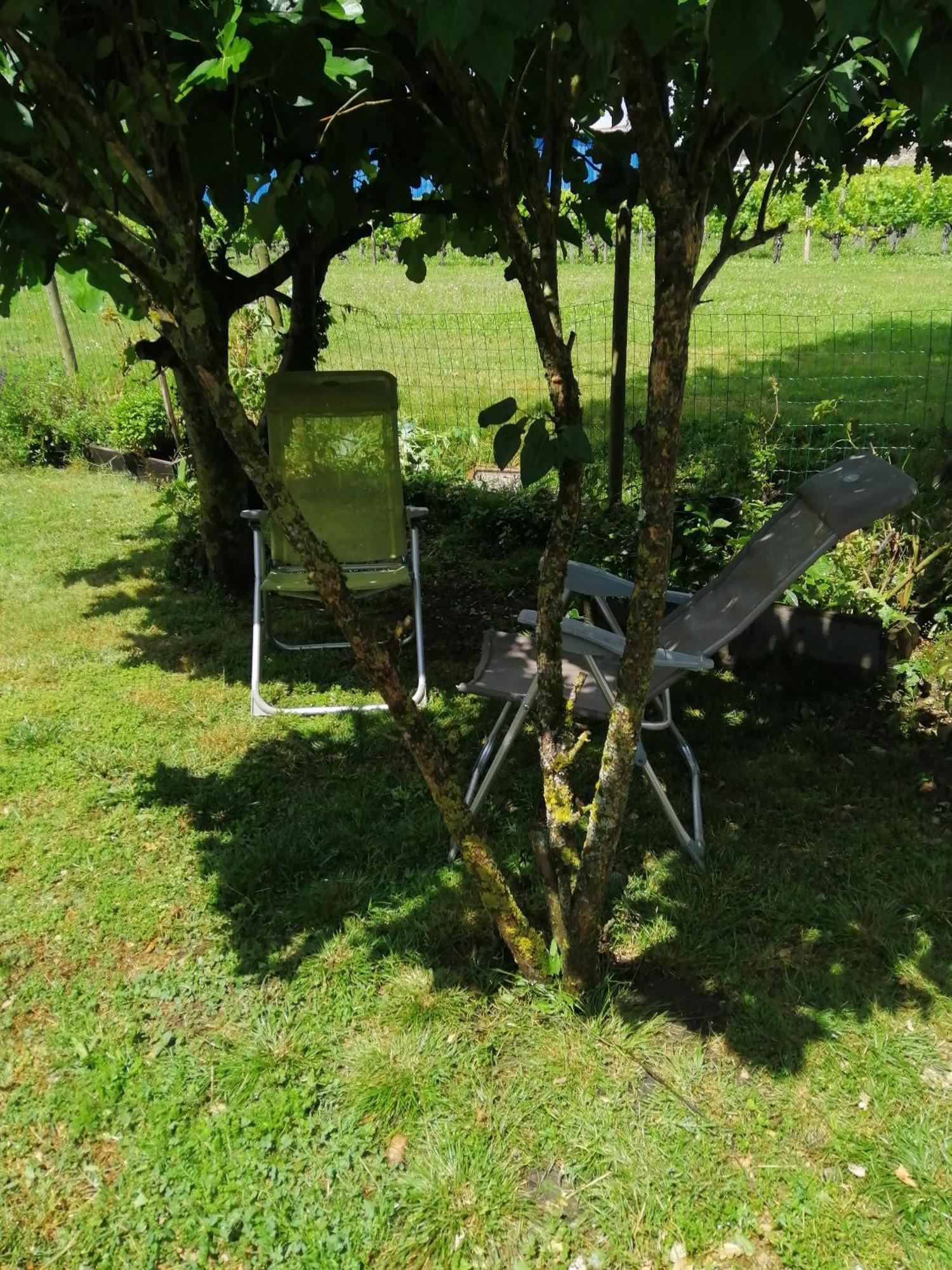 Gite " Suzon" A Peyroutas Vignonet St Emilion Exterior photo