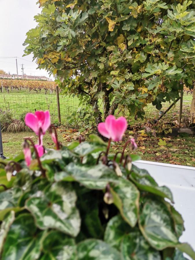 Gite " Suzon" A Peyroutas Vignonet St Emilion Exterior photo